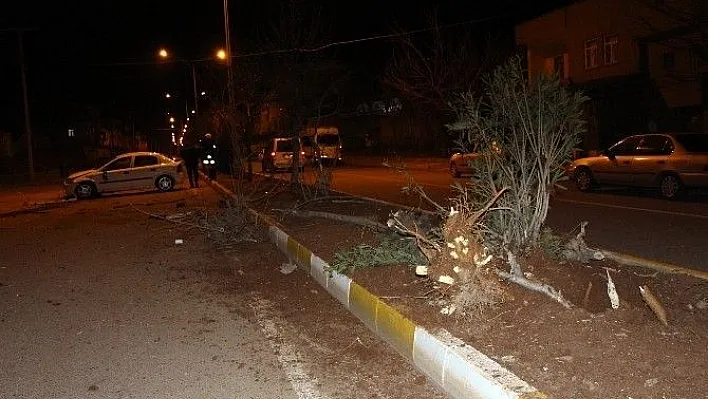 Refüjdeki ağaçları sökerek durabildi
