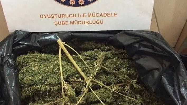 Adıyaman'da uyuşturucu operasyonu
