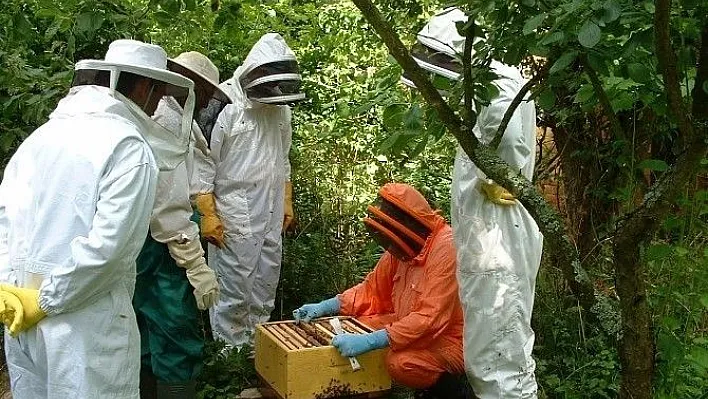 Erzincan'daki Orman Köylülerine 11,3 milyon TL Katkı
