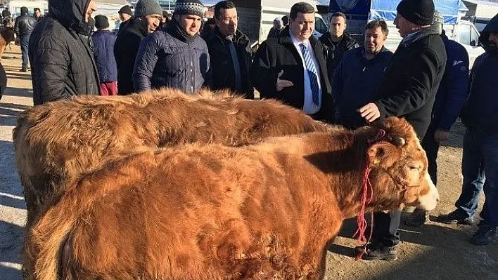 Vali Arslantaş, canlı hayvan pazarında incelemelerde bulundu
