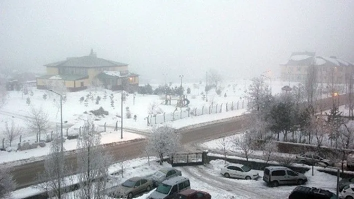 Erzurum'da yoğun sis uçak seferlerini aksattı
