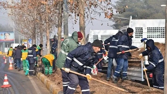 Yeşil alanlarda 129 bin lale ve 80 bin menekşe açacak
