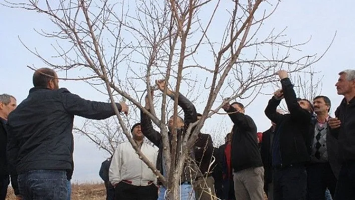 Adıyaman'da çiftçiler eğitiliyor
