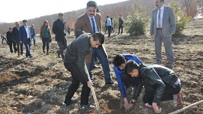 Gölbaşı Metem Hatıra Ormanına 2 bin fidan dikildi
