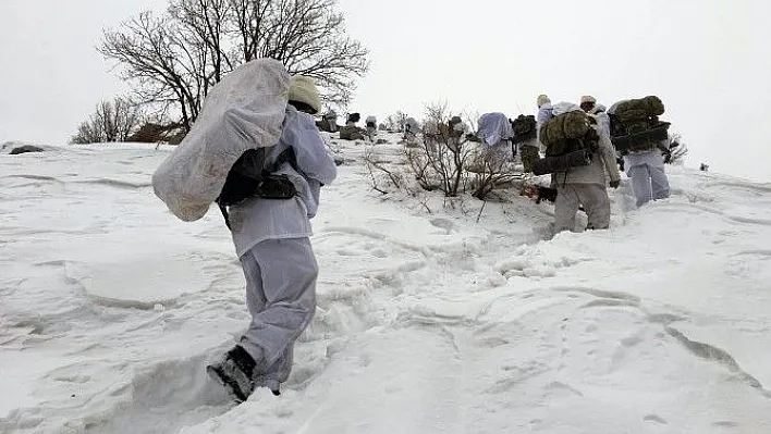 PKK'ya darbe üstüne darbe