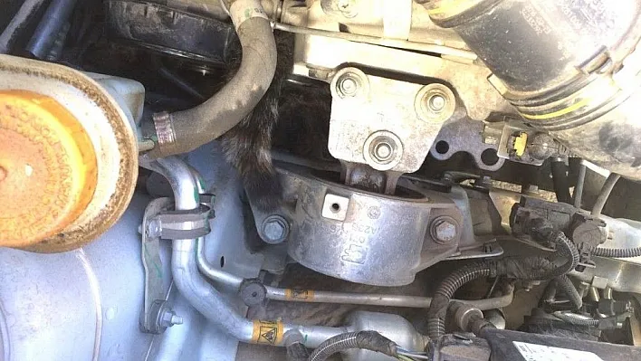 Aracın motor kısmına sıkışan kedi sanayide çıkartıldı
