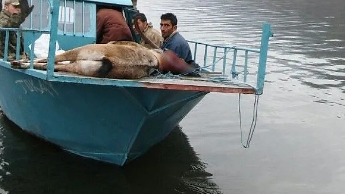 Dağ keçisi vuran avcılara 28 bin TL para cezası kesildi
