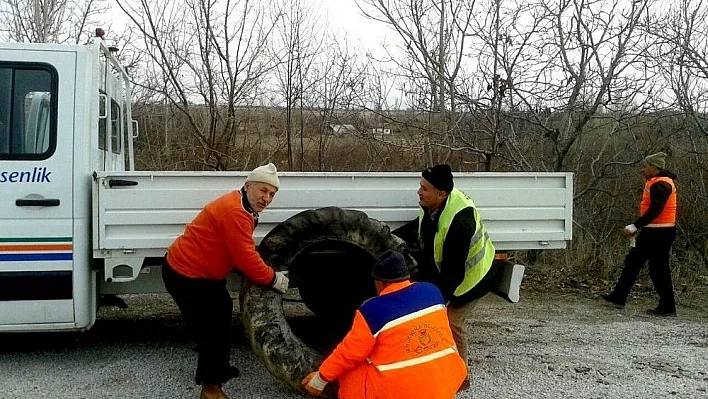 Büyükşehir Belediyesi hurda lastikler toplayarak hava kirliliği ve haşere üremesinin önüne geçiyor
