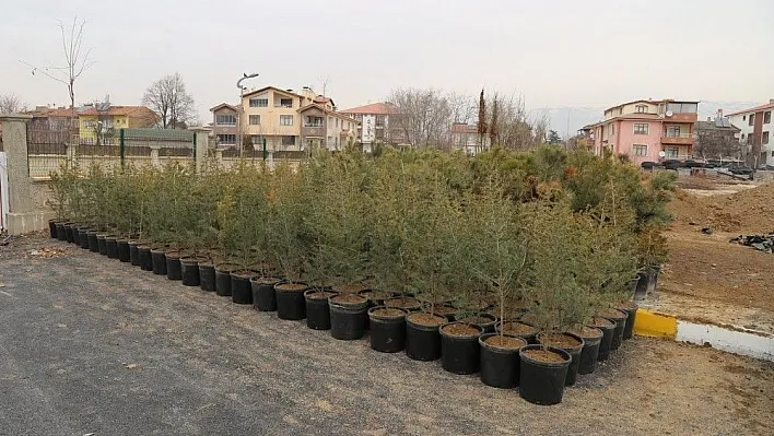 10 bin fidan toprakla buluşmayı bekliyor
