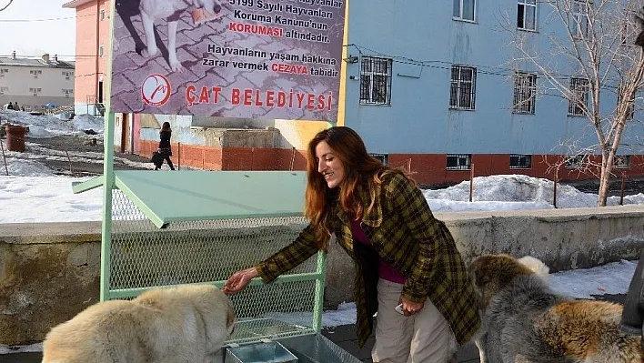 Çat Belediyesinden sokak hayvanları için mama istasyonu
