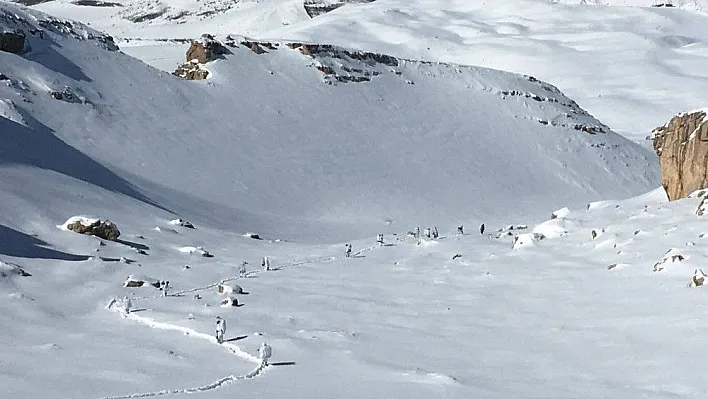 Erzincan'da PKK'nın sığınak ve mağaraları imha edildi
