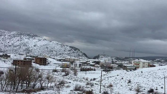 Sincik ilçesi baharı beklerken kış geldi
