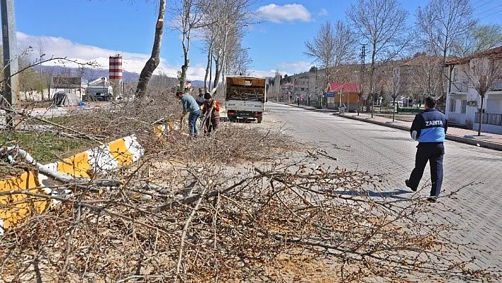 Gölbaşı ilçesinde ağaç budamaları devam ediyor
