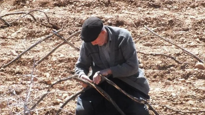 Bağ budama dönemi başladı
