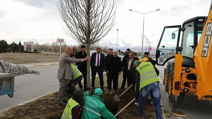 Erzincan Belediyesi Ağaçlandırma Çalışmalarına Devam Ediyor
