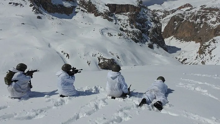 Erzincan'da PKK'ya ait barınma ve sığınma alanları imha edildi
