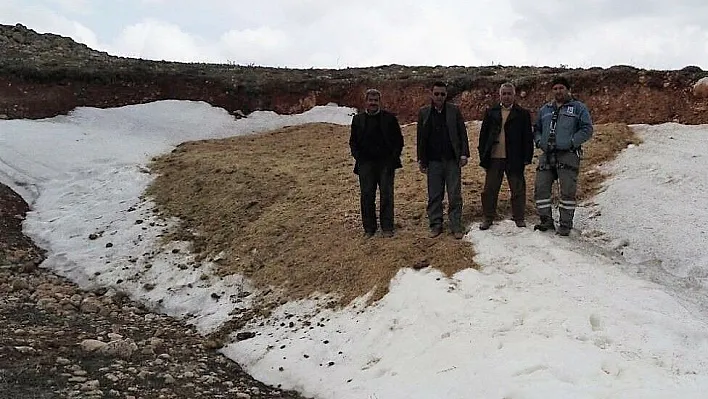 Yazın yemek için saman altında kar saklıyorlar
