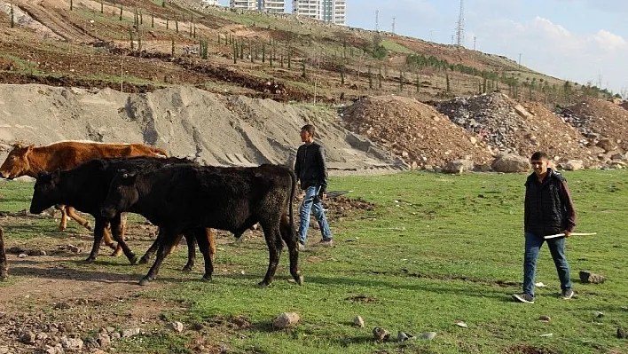 Sur'un fedakar çocukları
