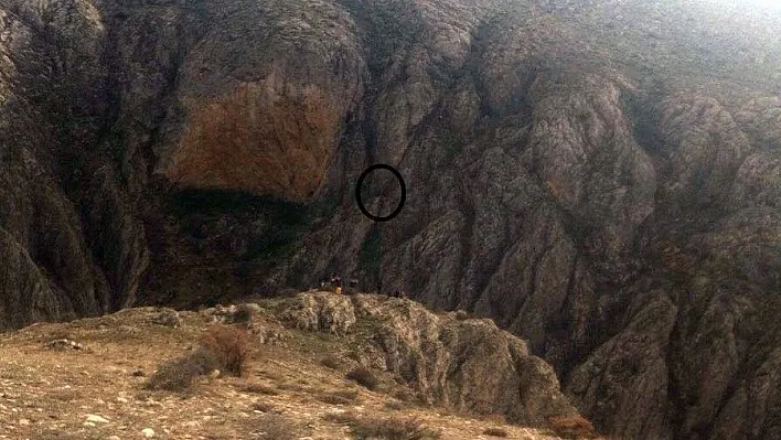 Ters Lale toplamak isterken kayalıklardan düştü
