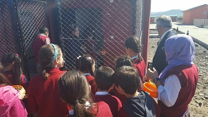 Bingöl'de öğrenciler, sokak hayvanları besledi
