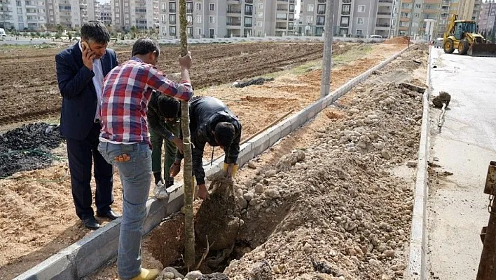 Adıyaman'da kaldırım ve ağaçlandırma çalışması
