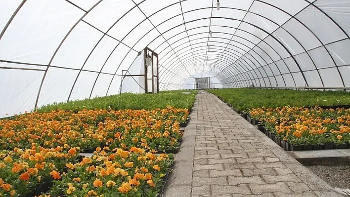 Erzincan Belediyesi şehri çiçeklerle donatıyor
