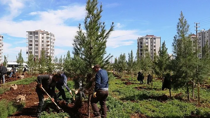 Bağlar Belediyesinden yeni yeşil alanlar
