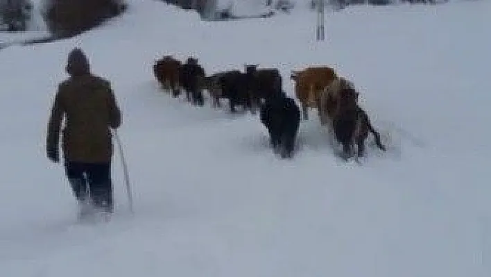 Erzurum'da Nisan ayında kış çilesi
