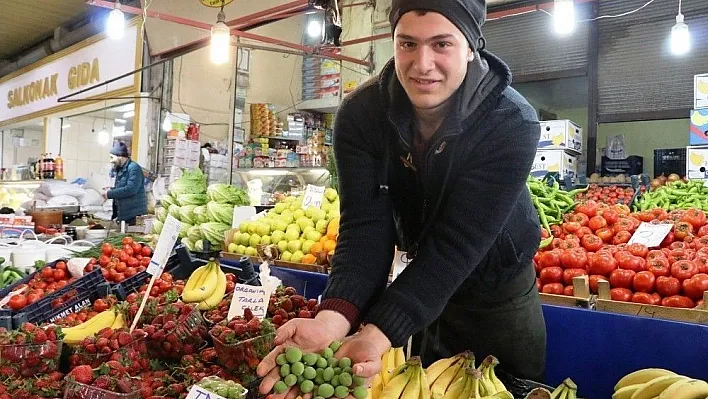 Yerli kayısı tezgahlara inmeye başladı
