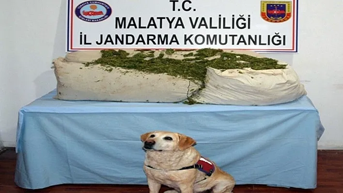 Jandarma 73 kilo uyuşturucu madde ile 3 bin 500 paket kaçak sigara ele geçirdi
