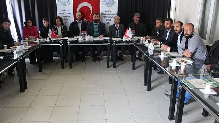 Malatya'da koyun kırpma kursu açıldı
