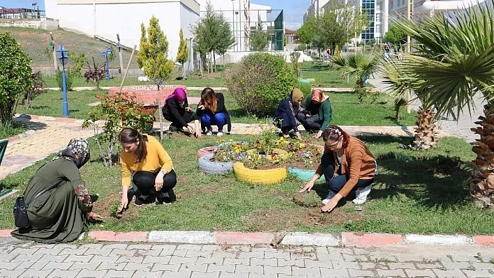 Yurt bahçelerine gül fidanları dikildi
