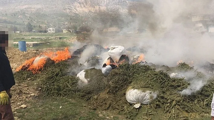 Diyarbakır'da ele geçirilen 30 ton uyuşturucu imha edildi
