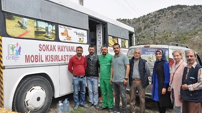 Sokak hayvanlarının kısırlaştırılmasına başlandı
