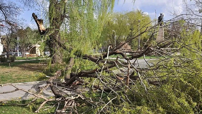 Erzincan'da şiddetli rüzgar vatandaşları evlerine kapattı
