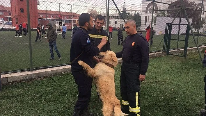 İtfaiye ekipleri K9 eğitimi alıyor
