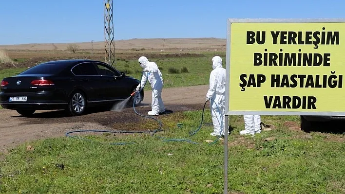 Diyarbakır'da şap hastalığı tatbikatı yapıldı
