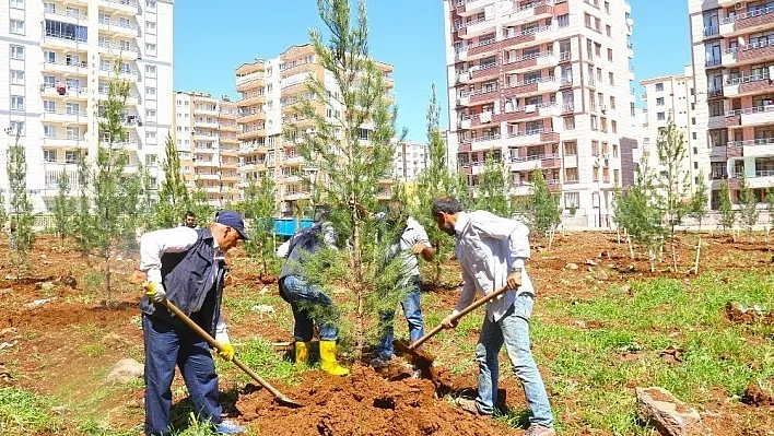 Bağlar'a yeni bir yeşil alan daha eklendi
