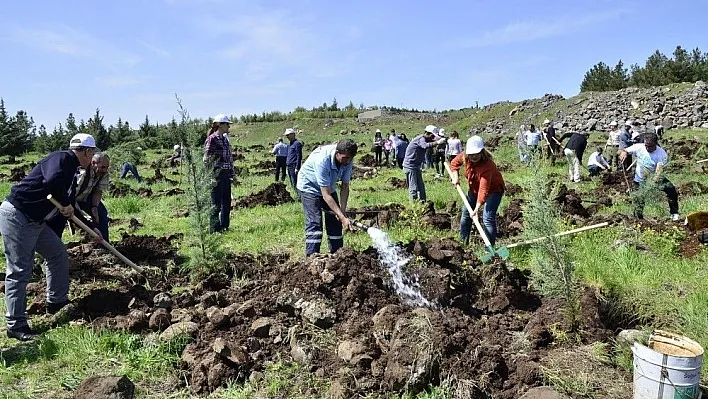 DİSKİ çalışanları fidan dikti
