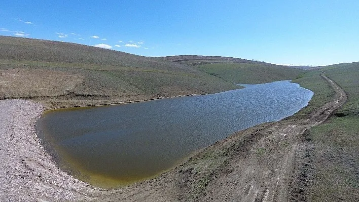 Erzurum'da çiftçinin yüzü gülmeye devam ediyor
