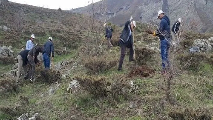 Bingöl'de yaban hayvanları destekleniyor
