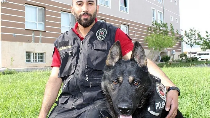 Sezar, uyuşturucu tacirlerinin korkulu rüyası oluyor
