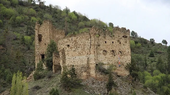 Hovak Kalesi yıkılmaya yüz tuttu
