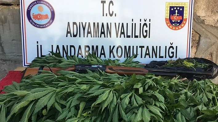 Jandarma uyuşturucu ile mücadeleyi sürdürüyor
