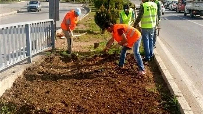 Tunceli'de çiçeklendirme çalışması
