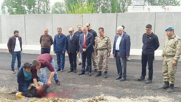 Yeni güvenlik noktası için kurban kesildi
