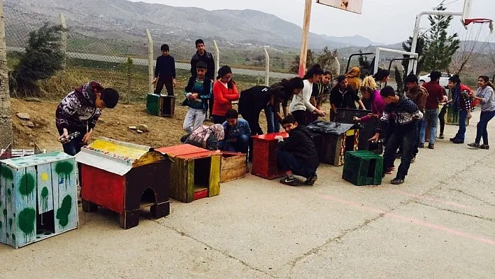 Kulplu öğrenciler sokak hayvanları için barınak yaptı
