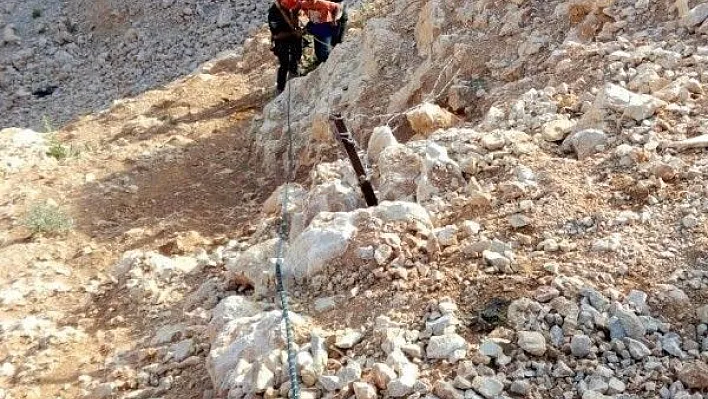 Kayalıklarda mahsur kalan çocuğu itfaiye kurtardı
