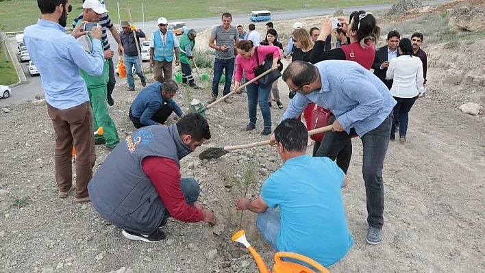 Bin adet fidan toprakla buluşturuldu
