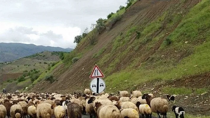 Kulp'ta yayla sezonu açıldı
